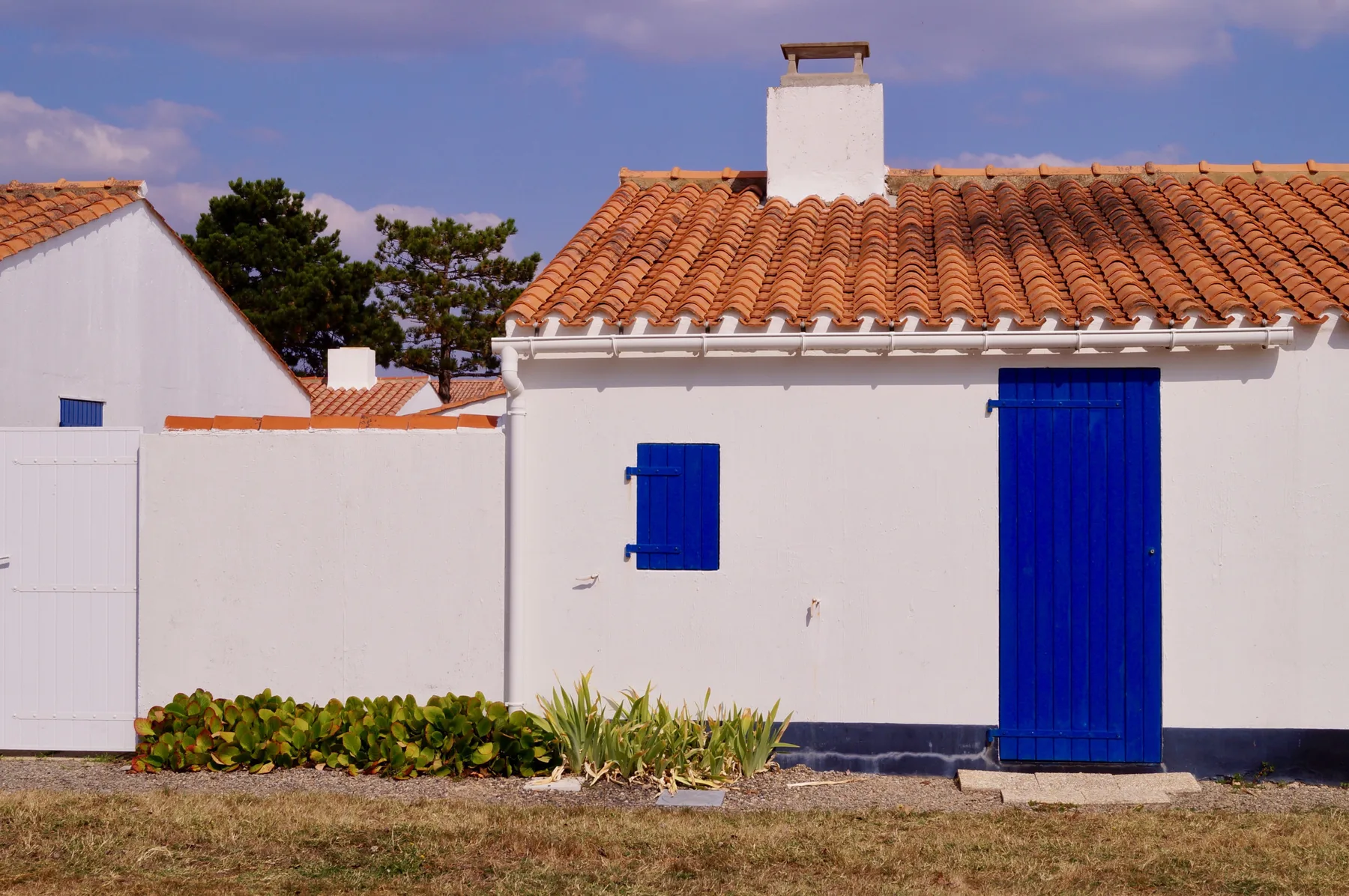 A white house exterior with a terracotta-tiled roof and bright blue shutters and door.