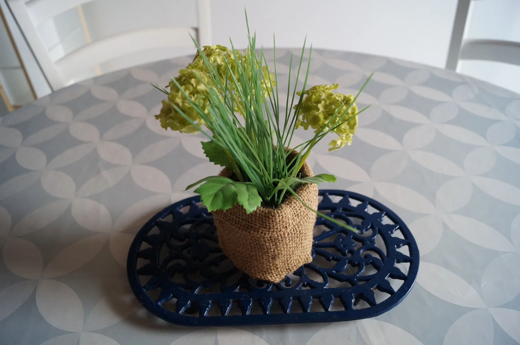 A potted plant sits on a patterned tabletop.