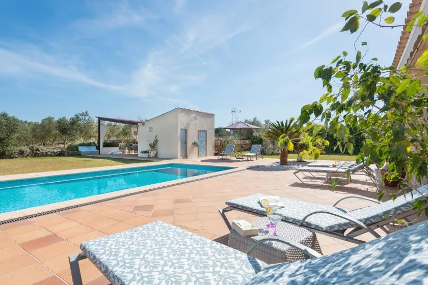 Una piscina al aire libre junto a un patio soleado con tumbonas reclinables.
