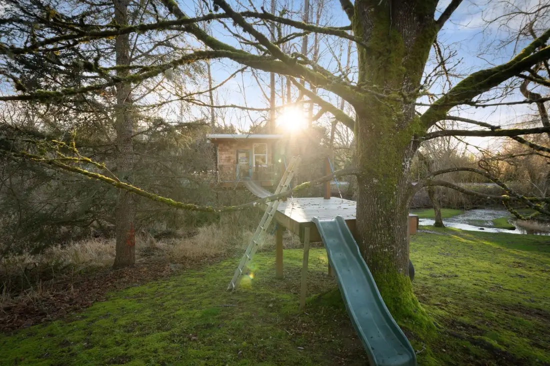 Un área de juegos en un jardín con una estructura de madera y un tobogán bajo un árbol grande.