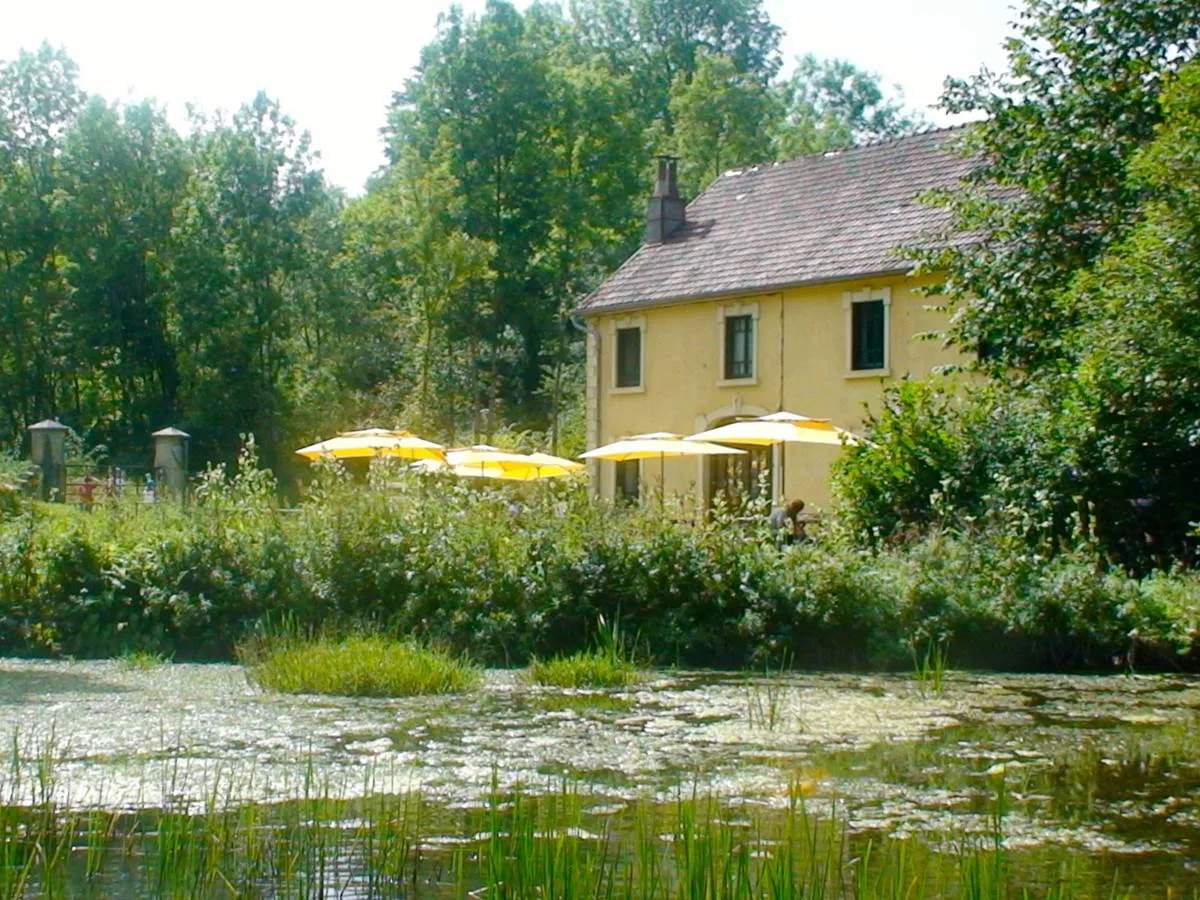 House viewed from the pond