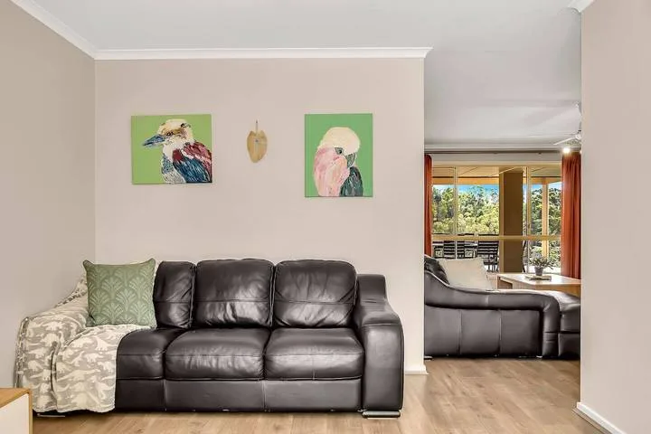 Una sala de estar con asientos oscuros y coloridas ilustraciones de aves en la pared.