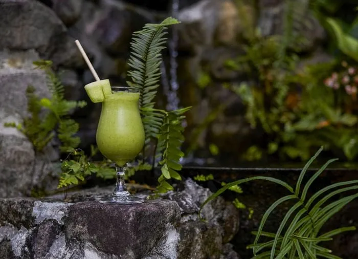 Smoothie served near a pond