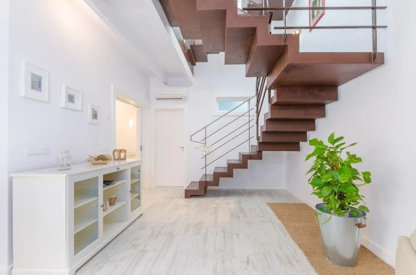 A bright entryway with an open staircase and a potted plant.