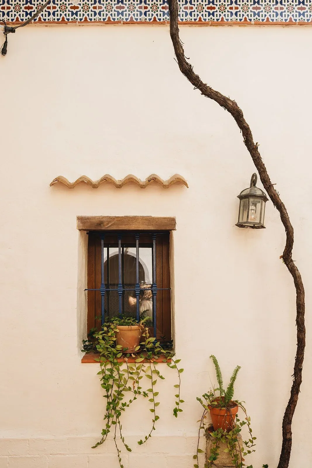 Casa Lela