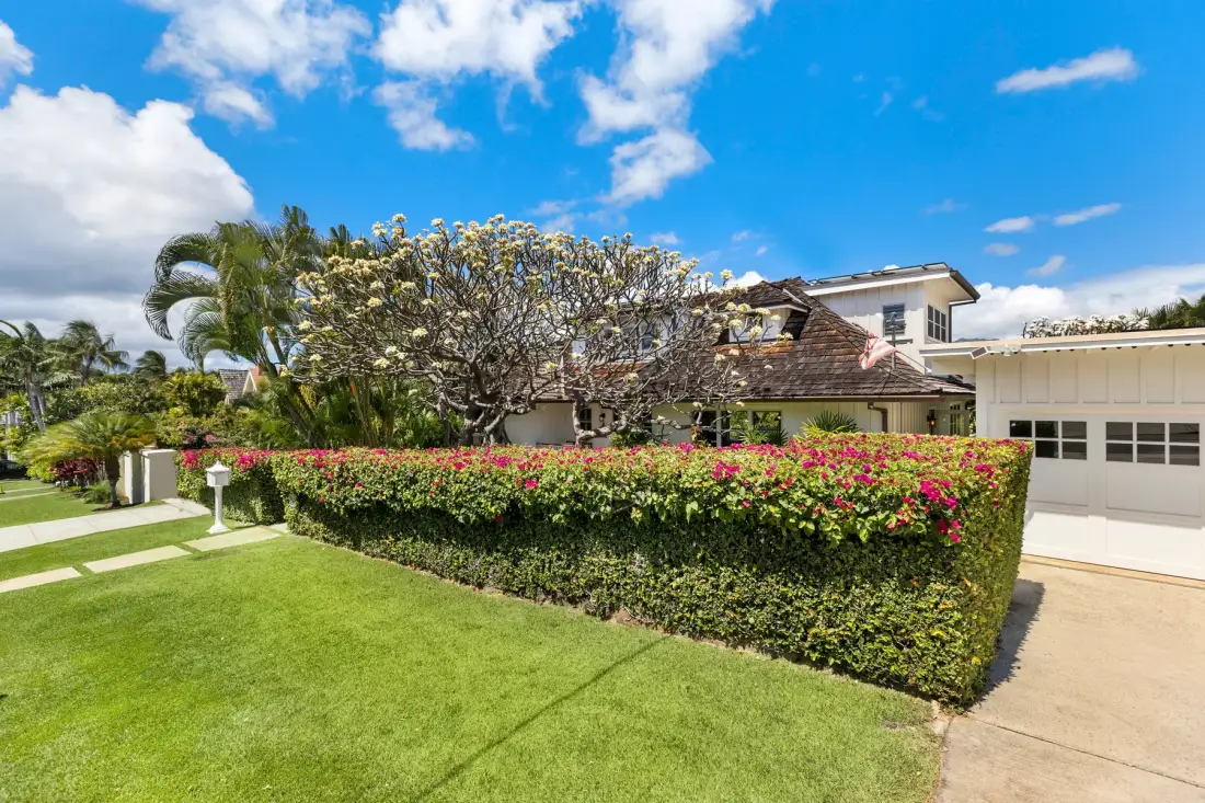 A landscaped front yard with flowering hedges and a house behind them.
