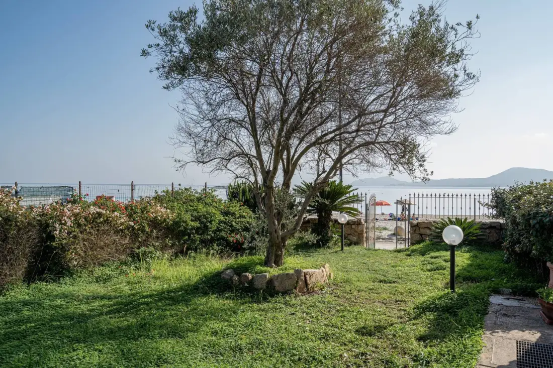 Un jardín con césped y un árbol grande da al mar.