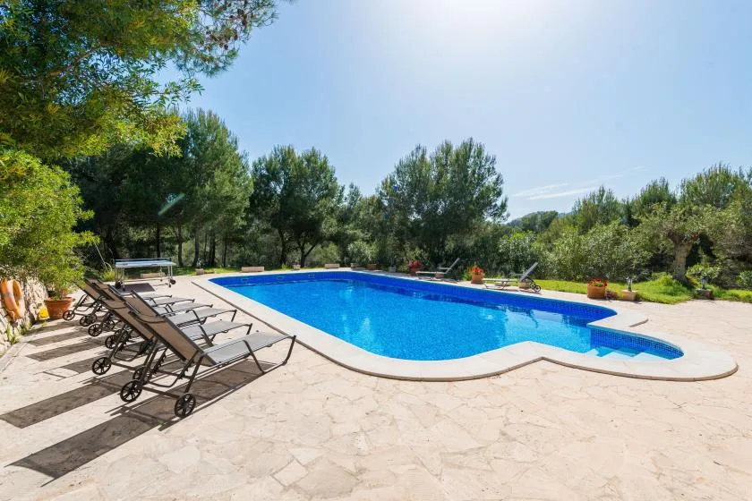 An outdoor swimming pool sits beside a paved patio with lounge chairs and trees.