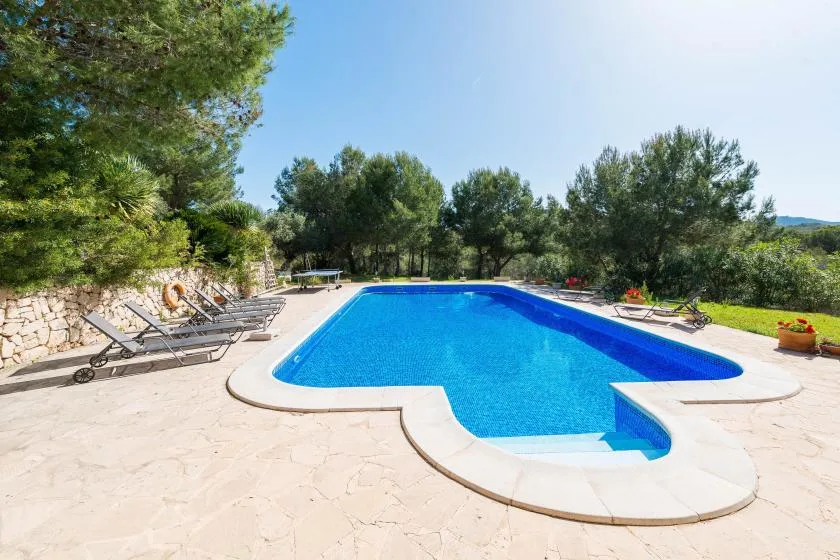 An outdoor swimming pool surrounded by trees and sun loungers.