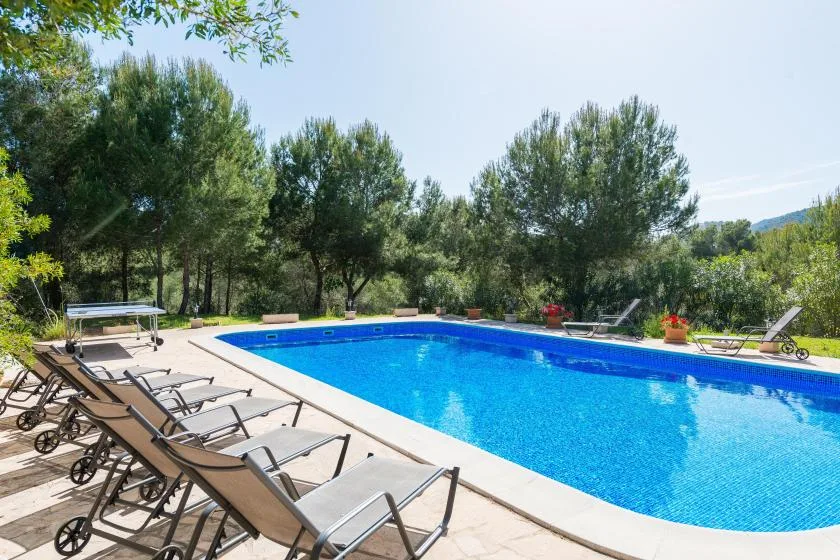 An outdoor swimming pool is surrounded by lounge seating and trees.