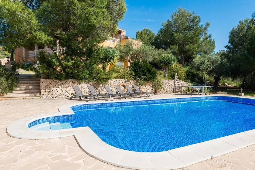A swimming pool sits beside a stone terrace, with trees and seating beyond.