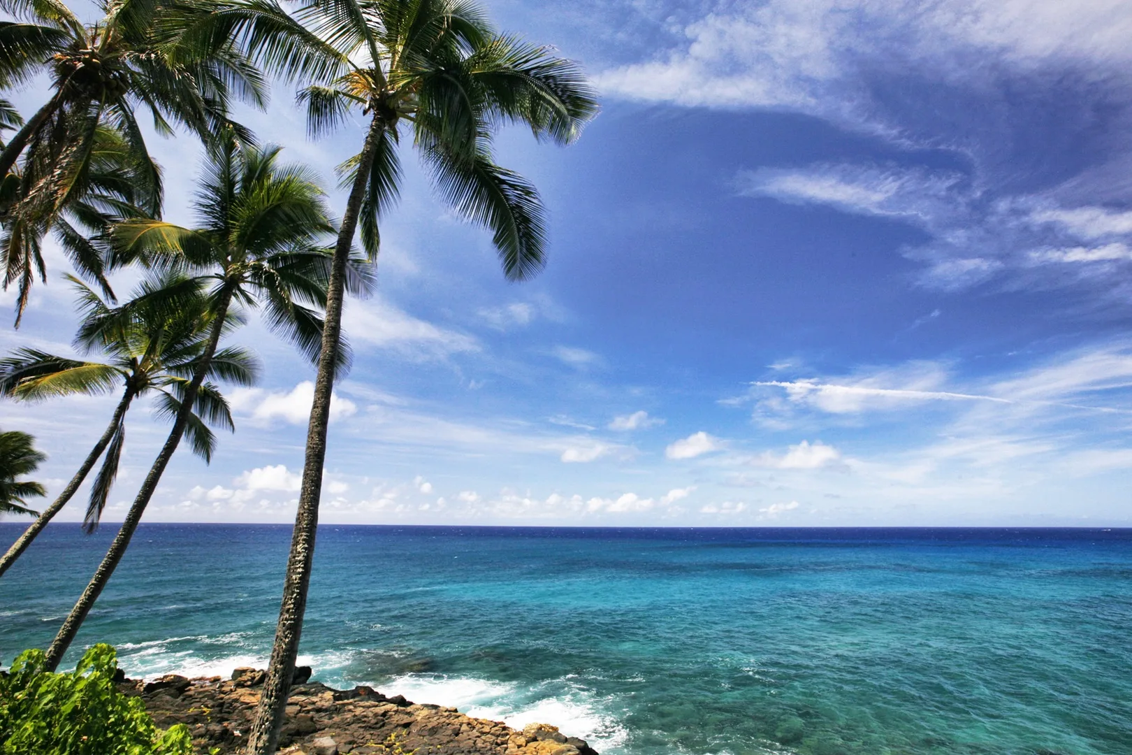 Una costa tropical con palmeras, agua turquesa y una orilla rocosa.