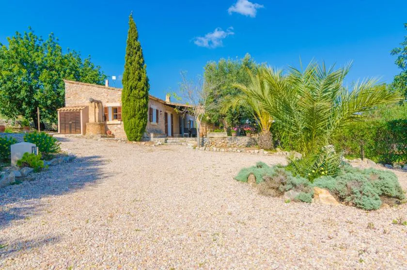 A stone house stands beside a gravel yard with palms and other trees.