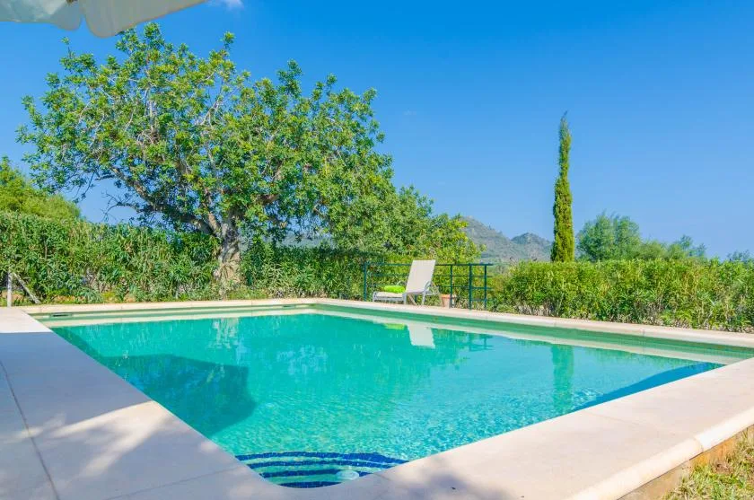 An outdoor swimming pool sits beside leafy trees under a clear blue sky.