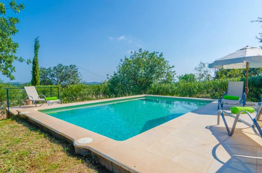 An outdoor swimming pool is surrounded by a paved deck and greenery.