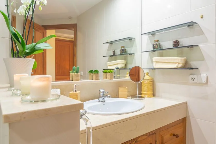 Un lavabo de baño con espejo y pequeñas plantas decorativas.