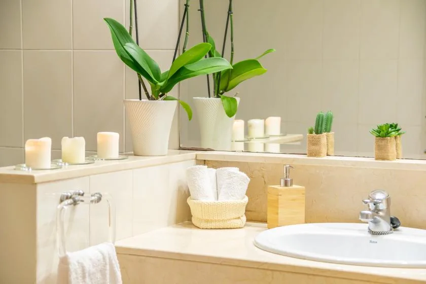 Un lavabo de baño con un fregadero blanco, plantas en macetas y velas.