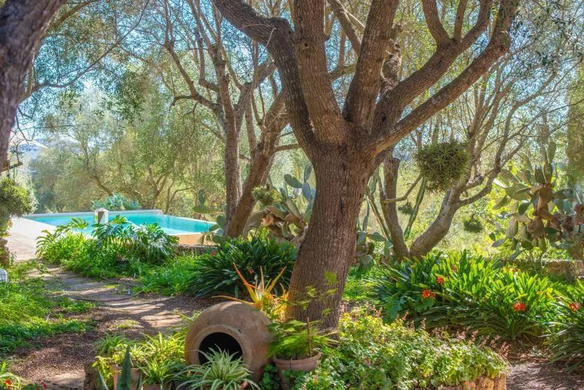 A leafy garden surrounds a swimming pool beneath large trees.
