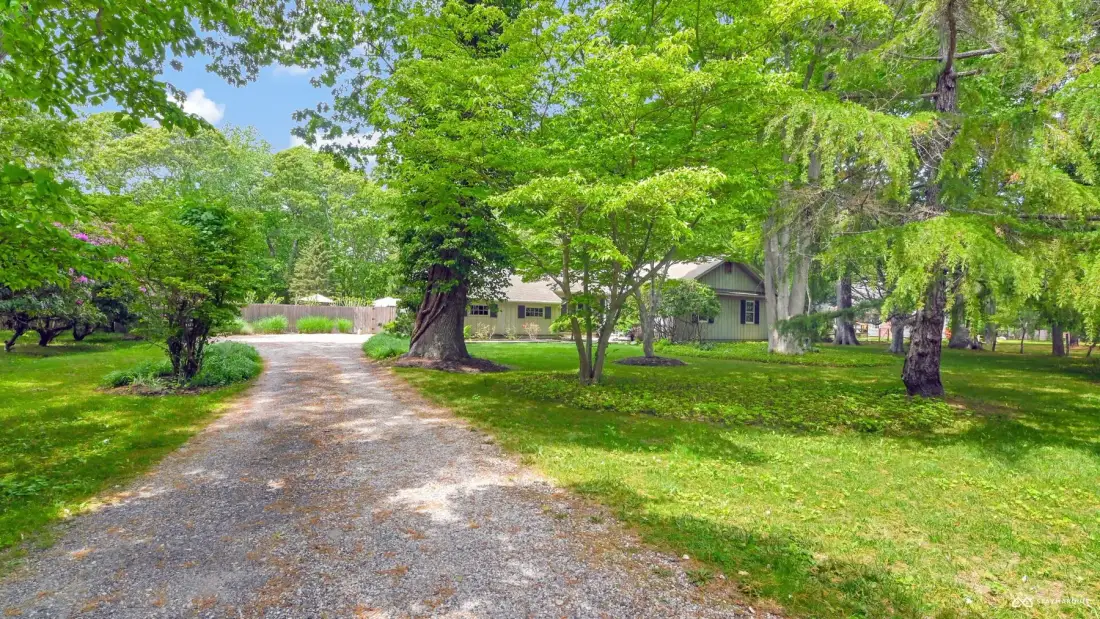 A gravel driveway curves through a leafy yard toward a low house.