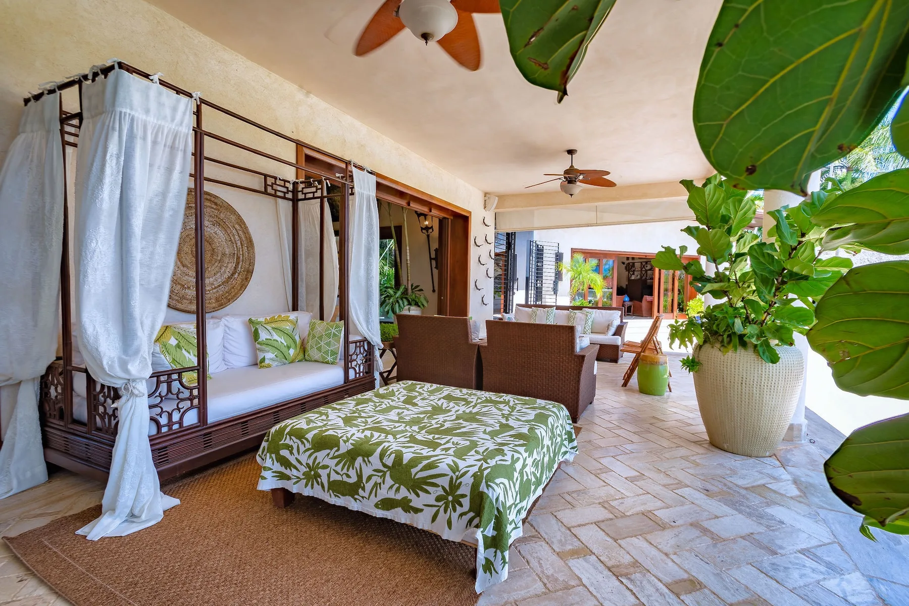 Un dormitorio luminoso se abre a una zona de estar, con una planta frondosa junto a la cama.