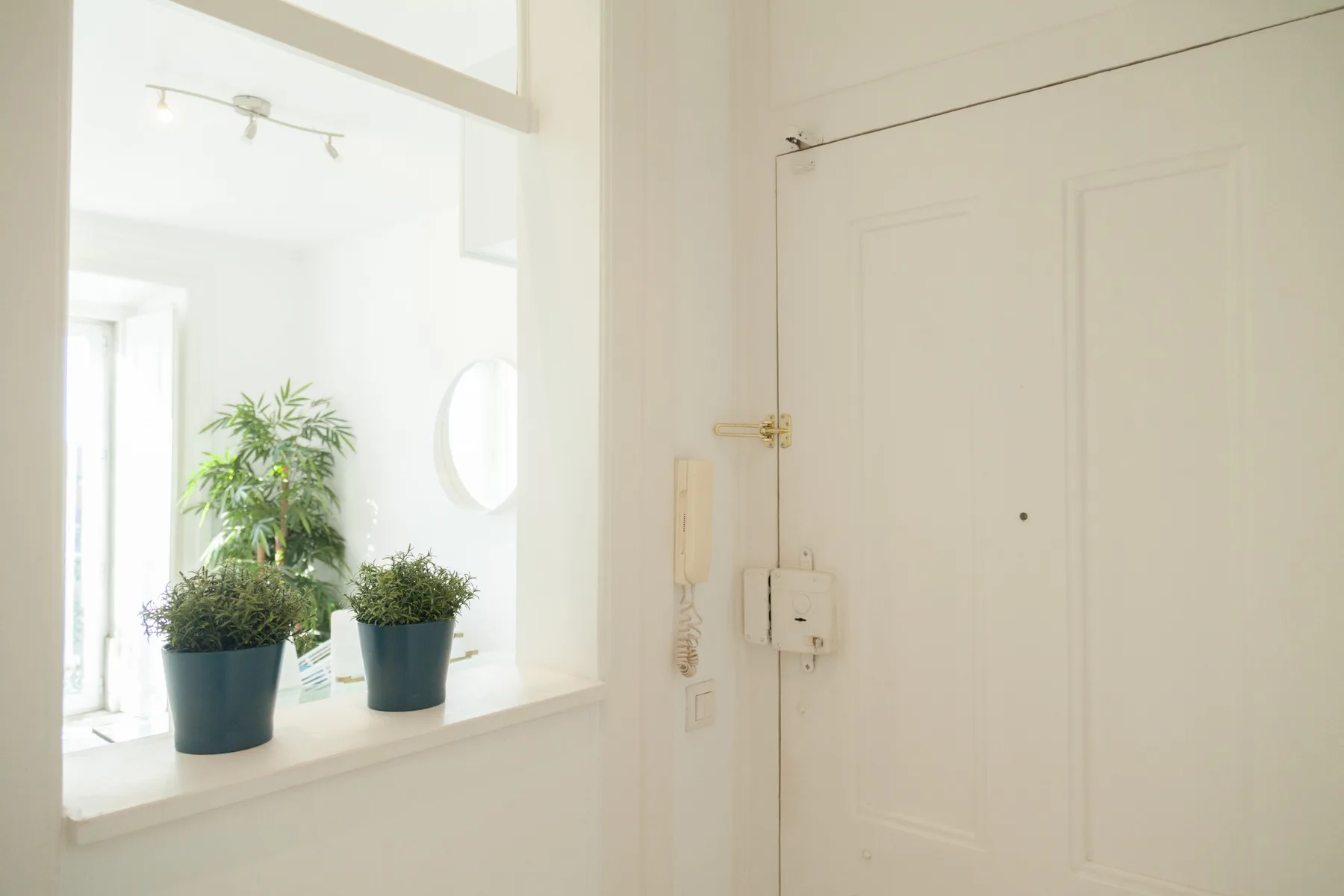 Una entrada luminosa con una puerta blanca y plantas en macetas sobre un alféizar.
