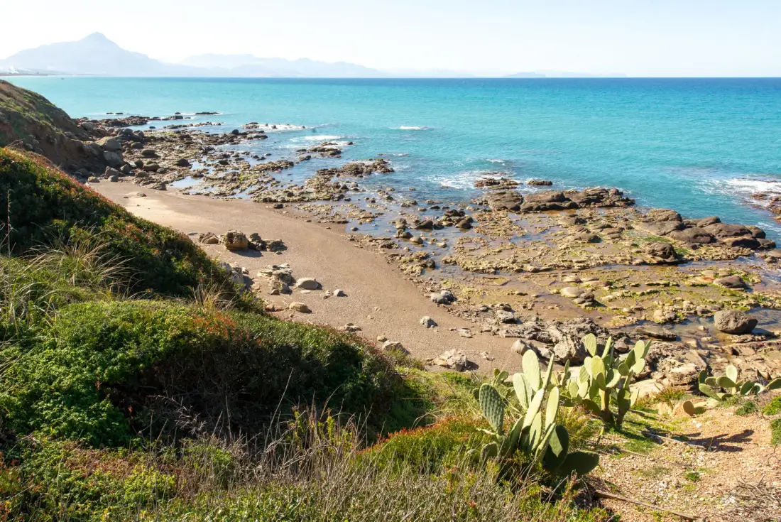 A rocky shoreline with a sandy beach, low coastal plants, and blue water.