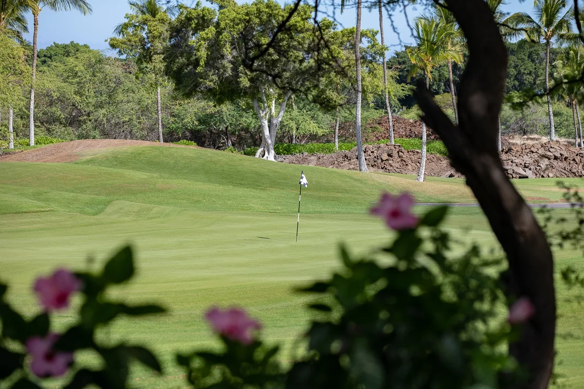 A golf course green with a flag, framed by flowering plants and trees.