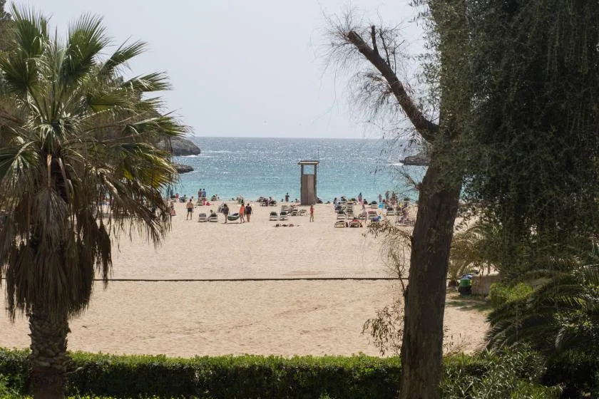 A sandy beach with people near the water, framed by trees and palms.