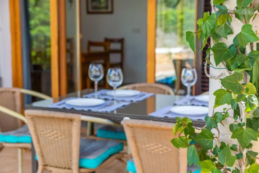 A dining table is set with plates and glassware beside leafy plants.