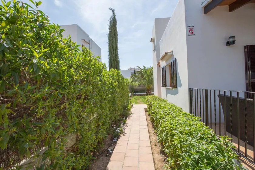 A paved garden path runs between leafy hedges and a white building.