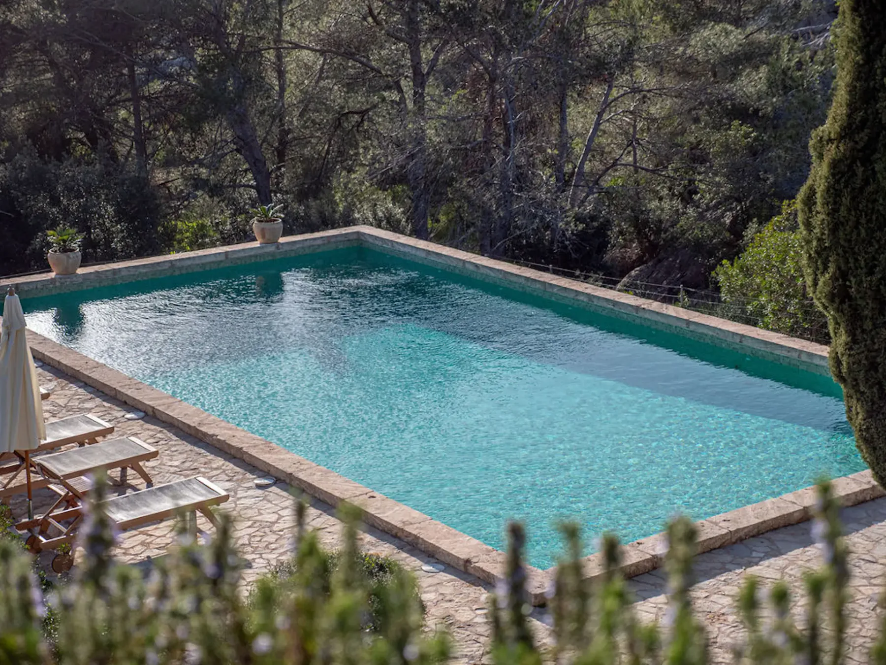 A swimming pool surrounded by trees, with loungers along the stone-paved edge.