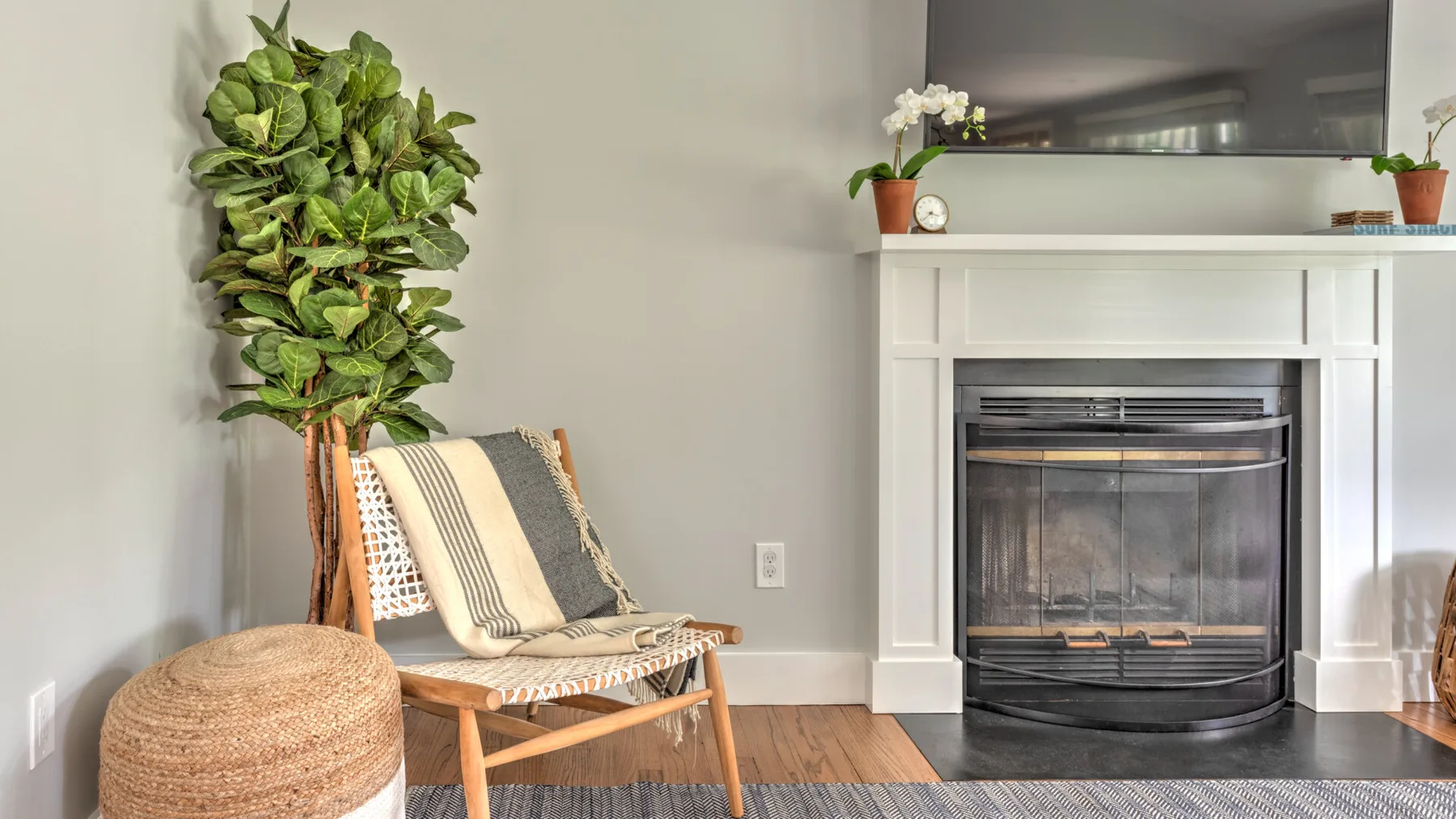 A living room with a fireplace, a chair, and a tall leafy plant.