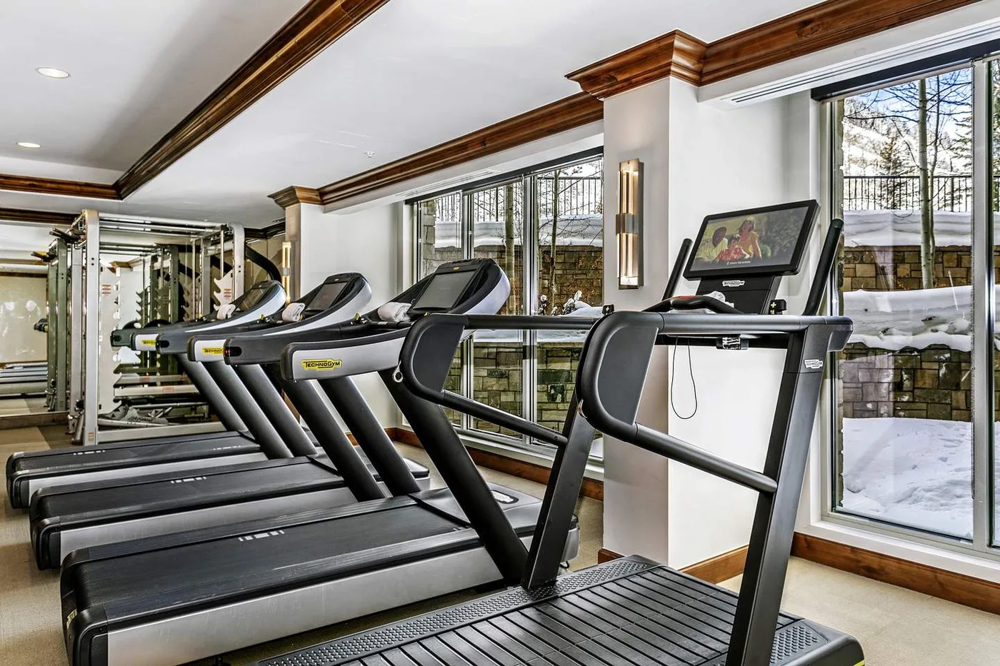 A fitness room with treadmills lined up beside large windows.