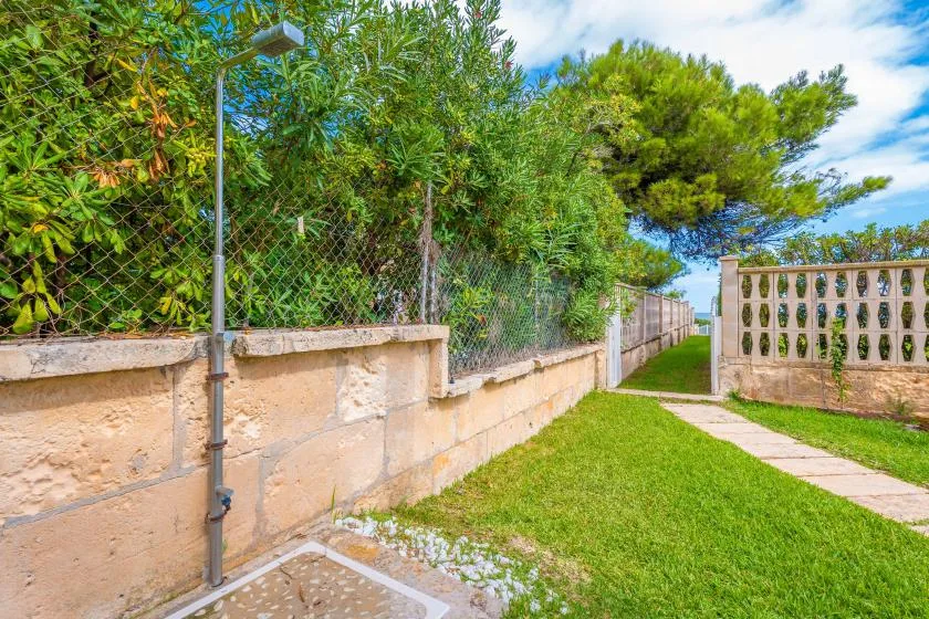 Un sendero exterior de césped pasa junto a un muro bajo y árboles frondosos.