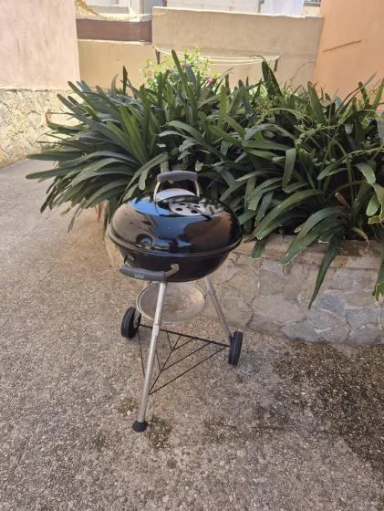 A small charcoal grill stands on a paved patio beside a leafy planter.