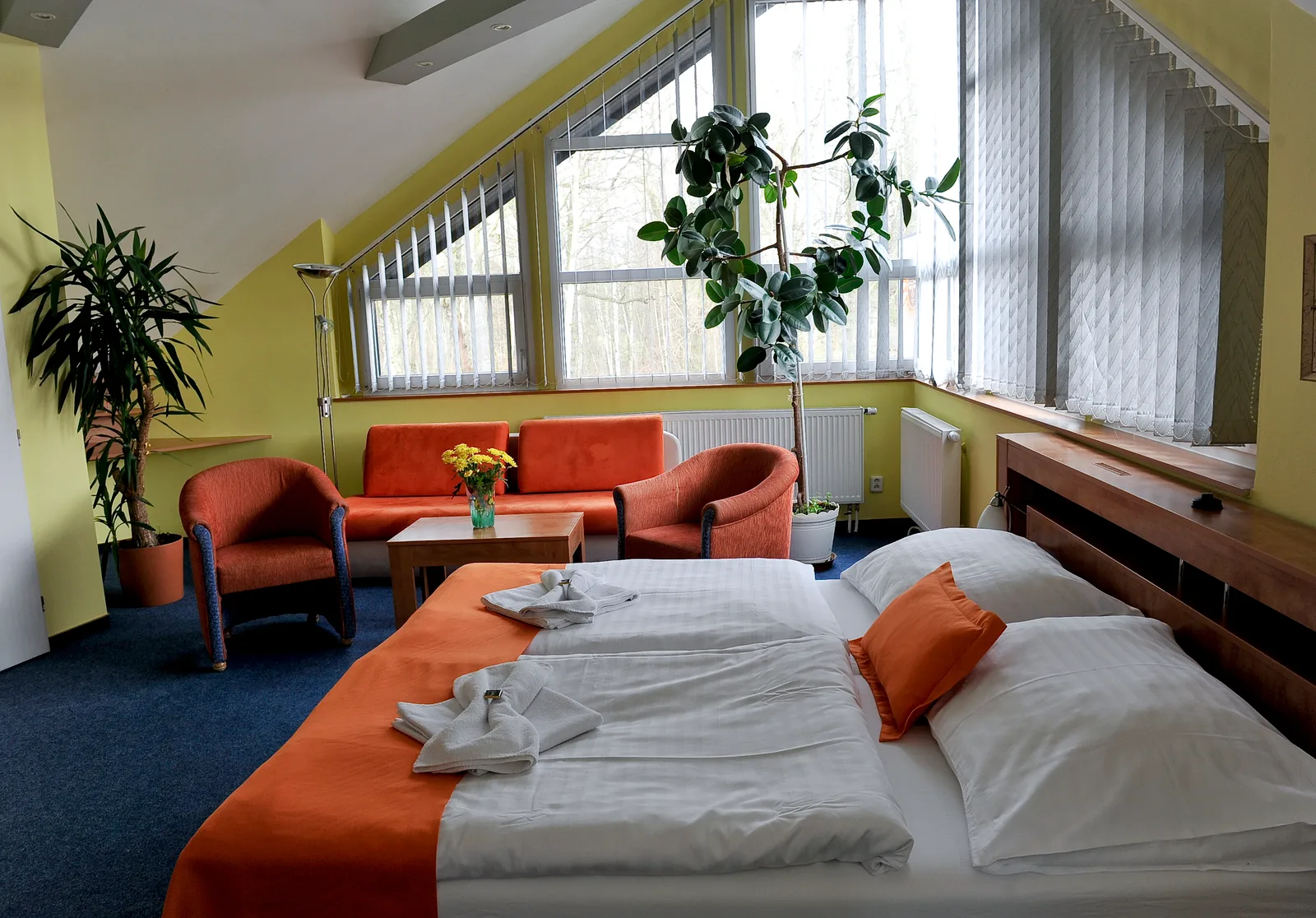 Luxury apartment