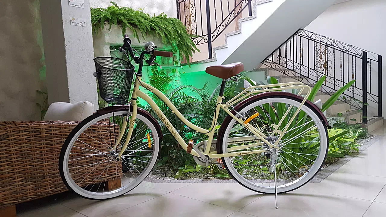 Bicicletas para explorar el centro histórico