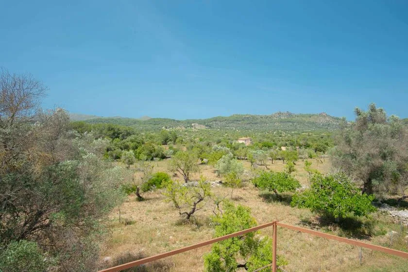 A dry, tree-dotted landscape stretches toward low hills beneath a clear sky.