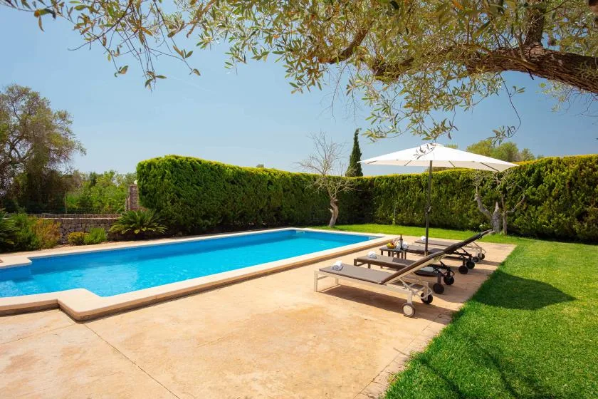 An outdoor swimming pool sits beside a paved patio and green lawn.