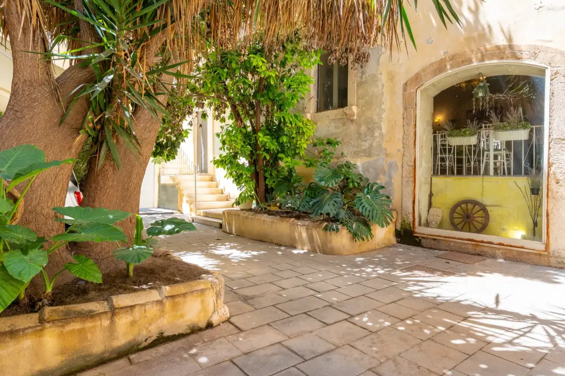 A leafy courtyard with a paved walkway and plants beside an arched window.
