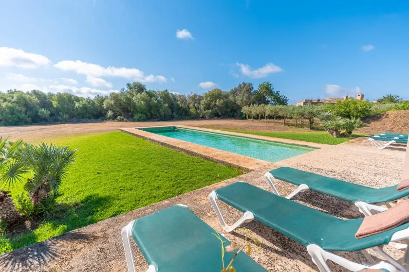 An outdoor swimming pool bordered by a green lawn and lounge chairs.