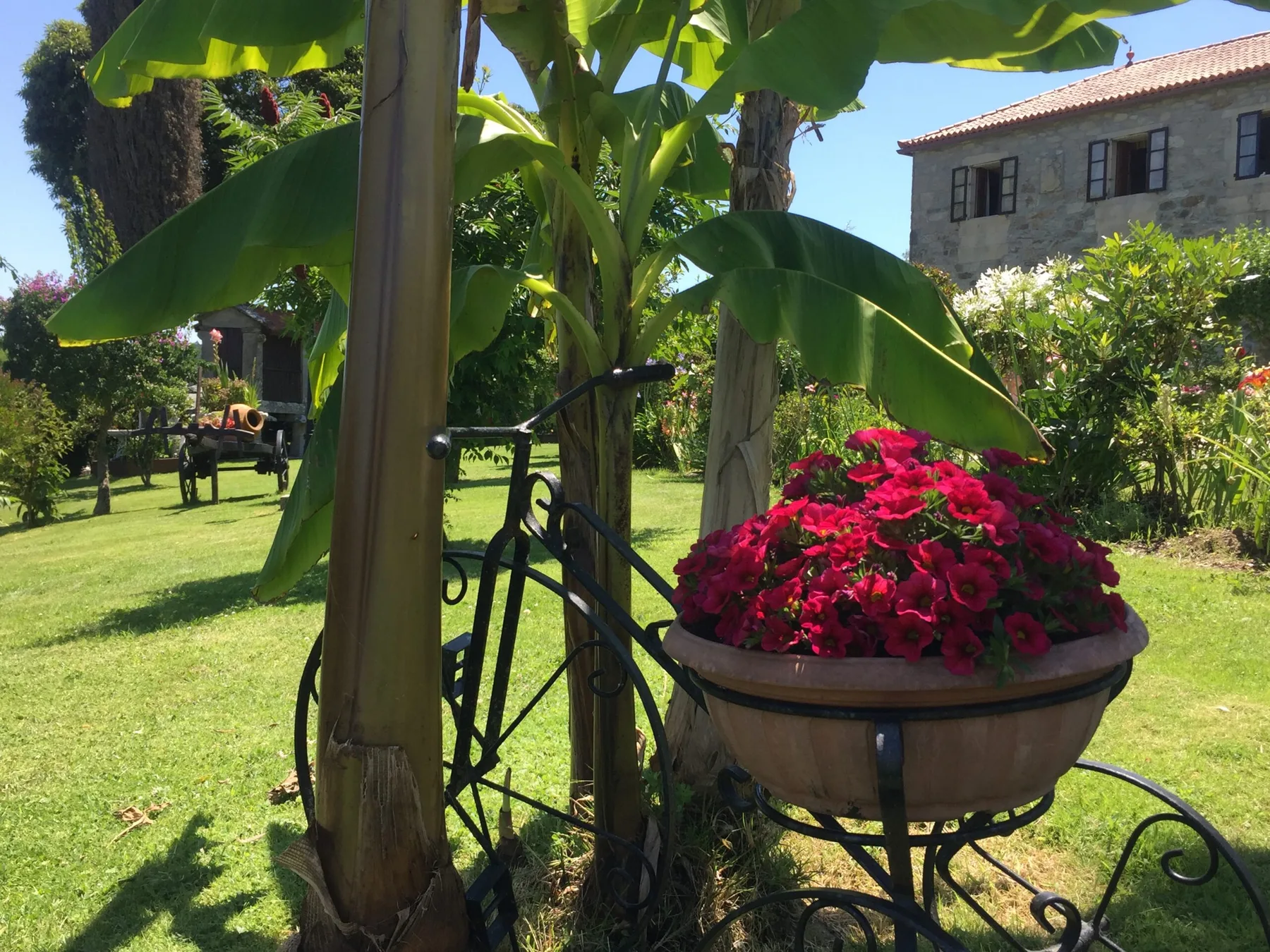 Casa completa with garden