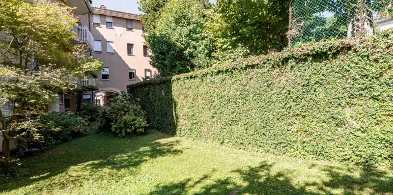 Un patio verde con césped, setos y un edificio al fondo.