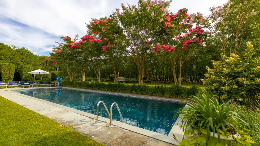 Una piscina al aire libre está junto a un césped y árboles en flor.