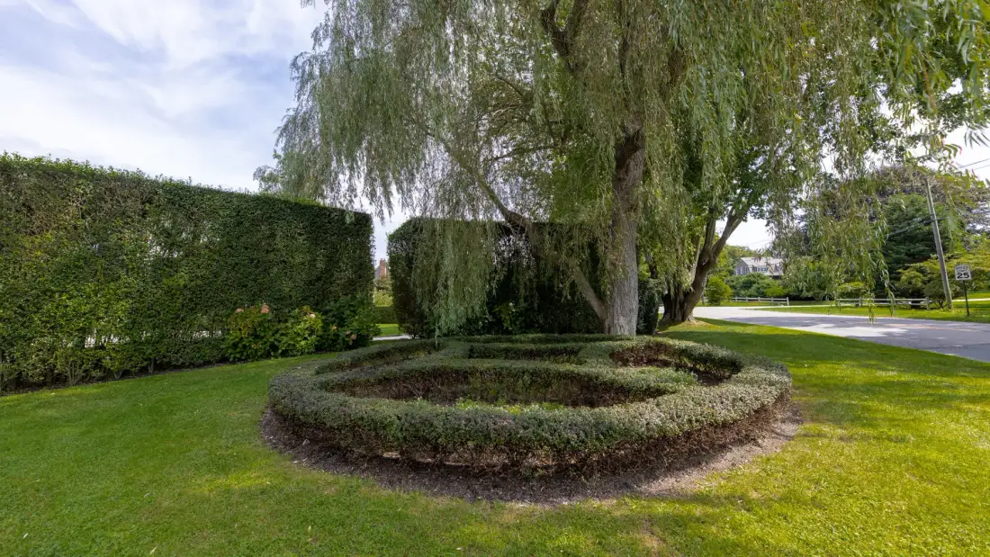 Un jardín ajardinado presenta un árbol grande rodeado por un seto circular.