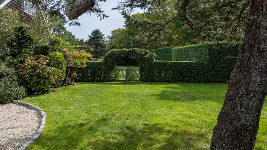 Un césped de jardín rodeado de setos altos y árboles maduros.
