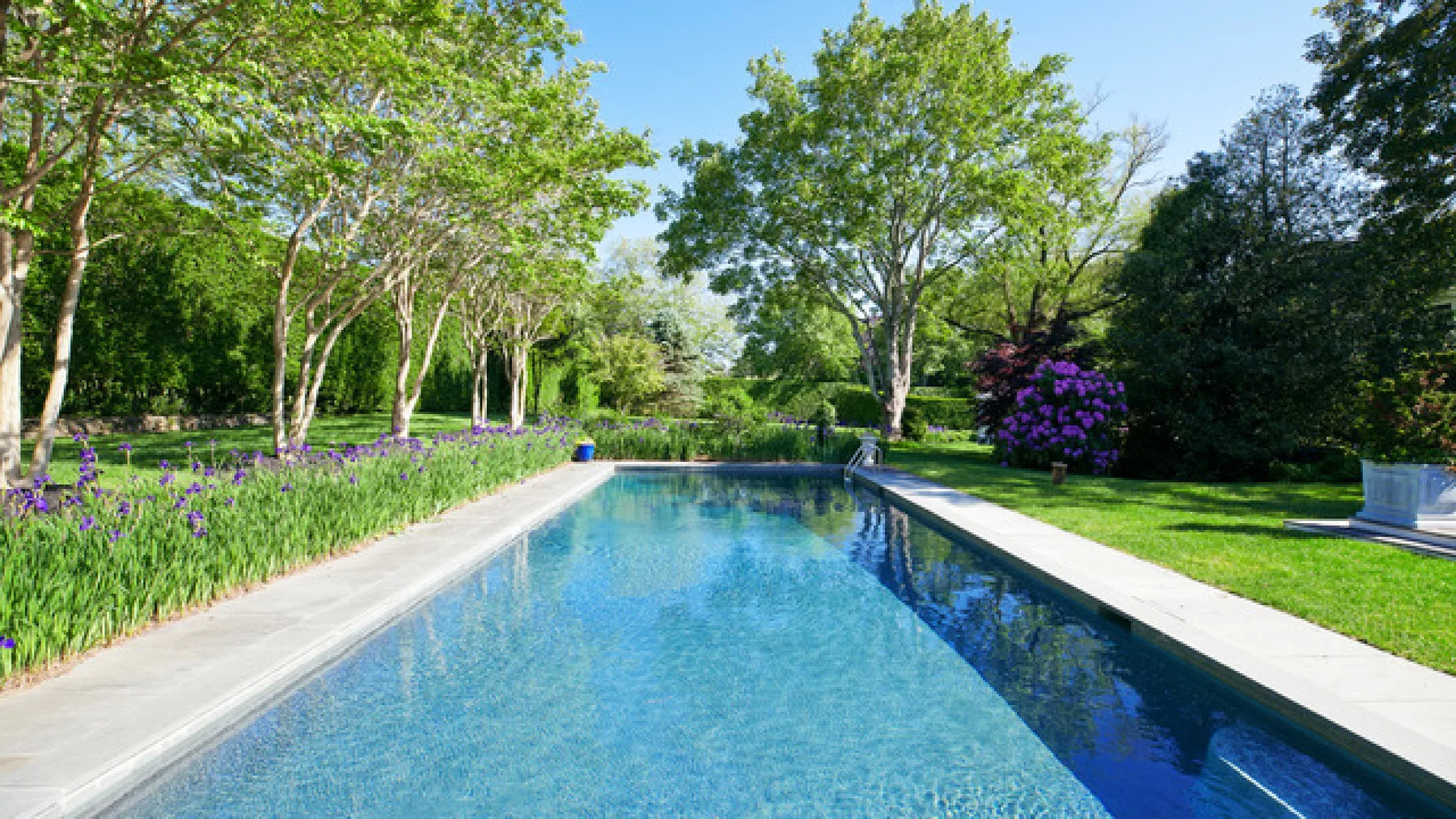 Una piscina se extiende por un jardín frondoso, con plantas con flores a lo largo del borde.