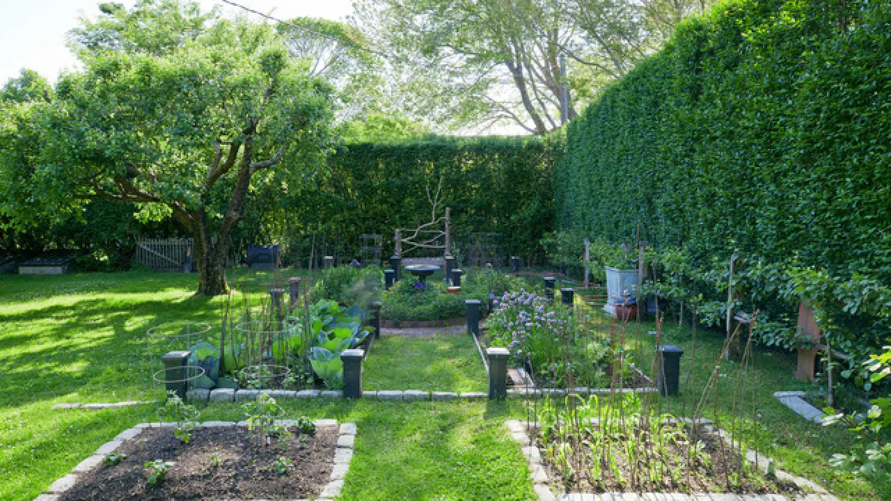 Un jardín con bancales elevados y un sendero de césped.