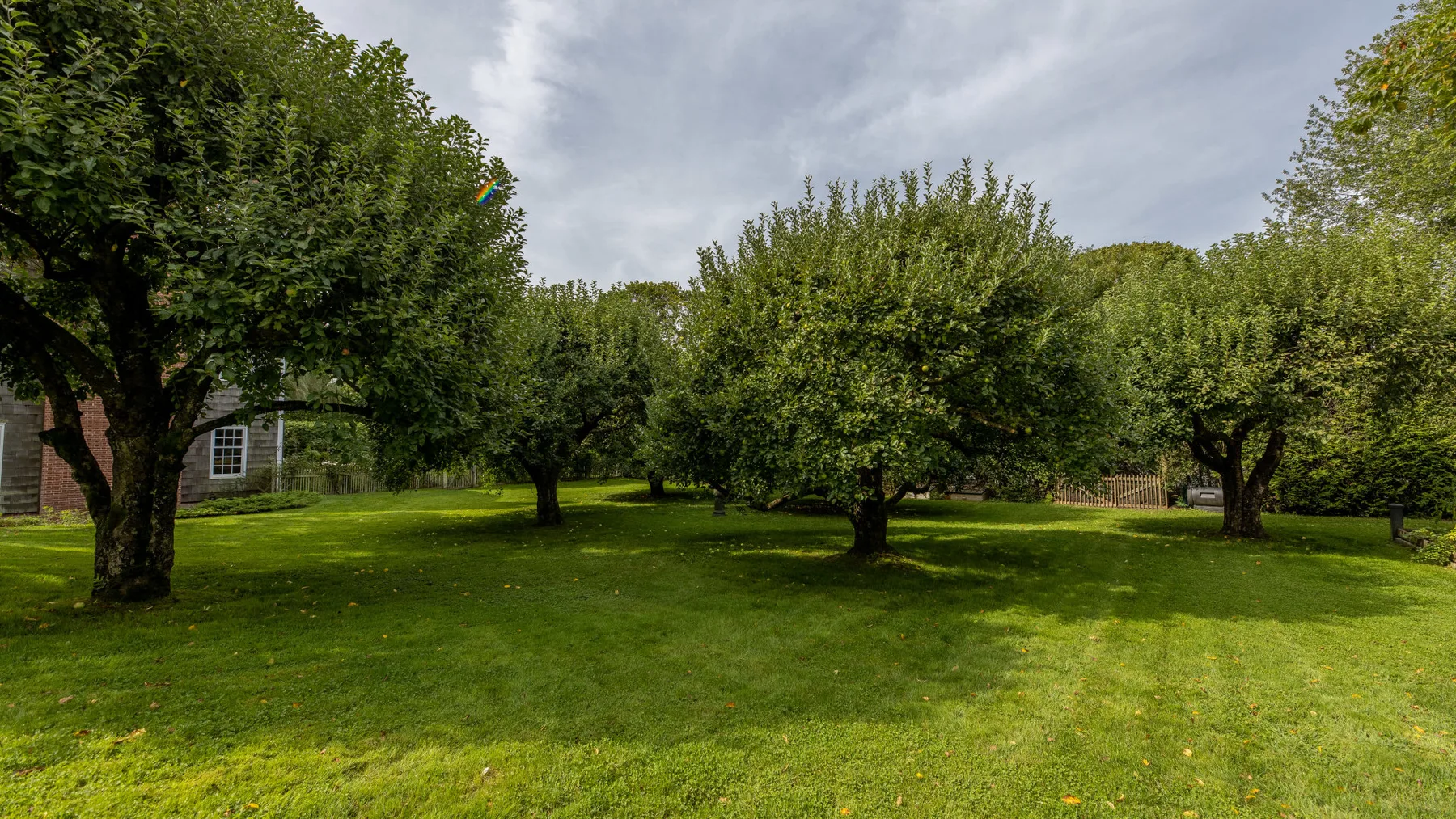 Un jardín con césped, varios árboles frondosos y un cielo nublado.