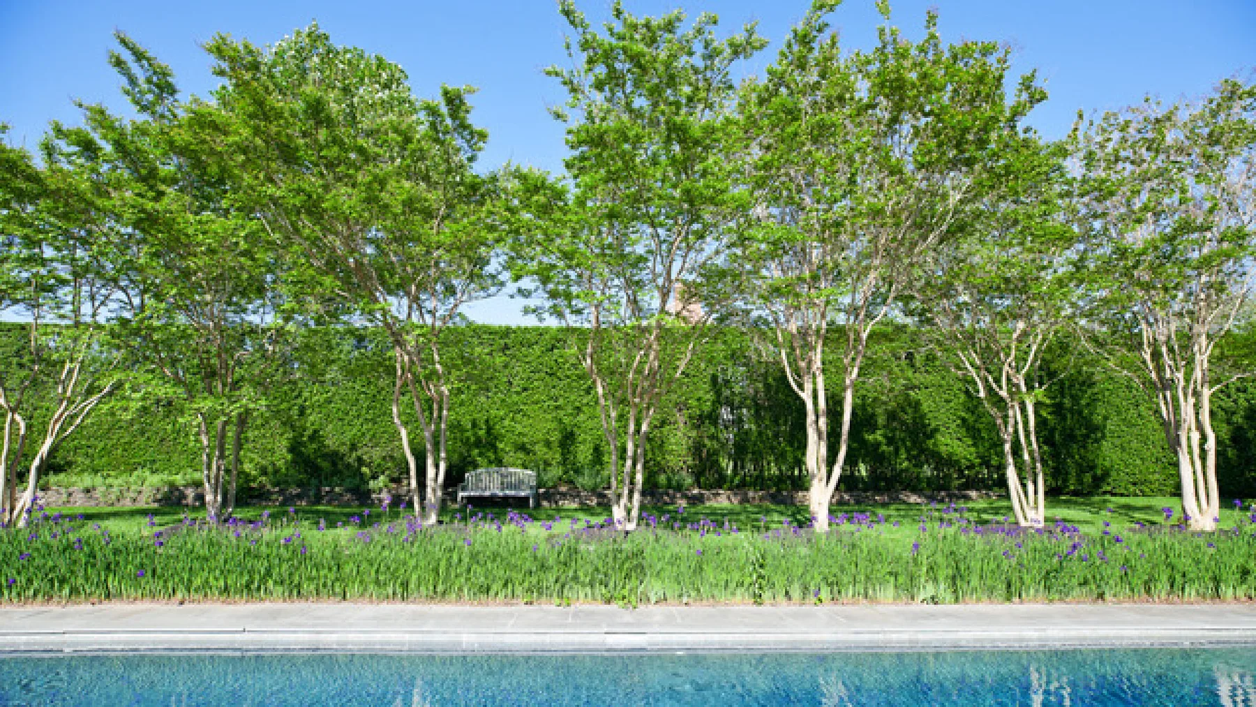 Una piscina está junto a una fila de árboles frondosos y vegetación baja.